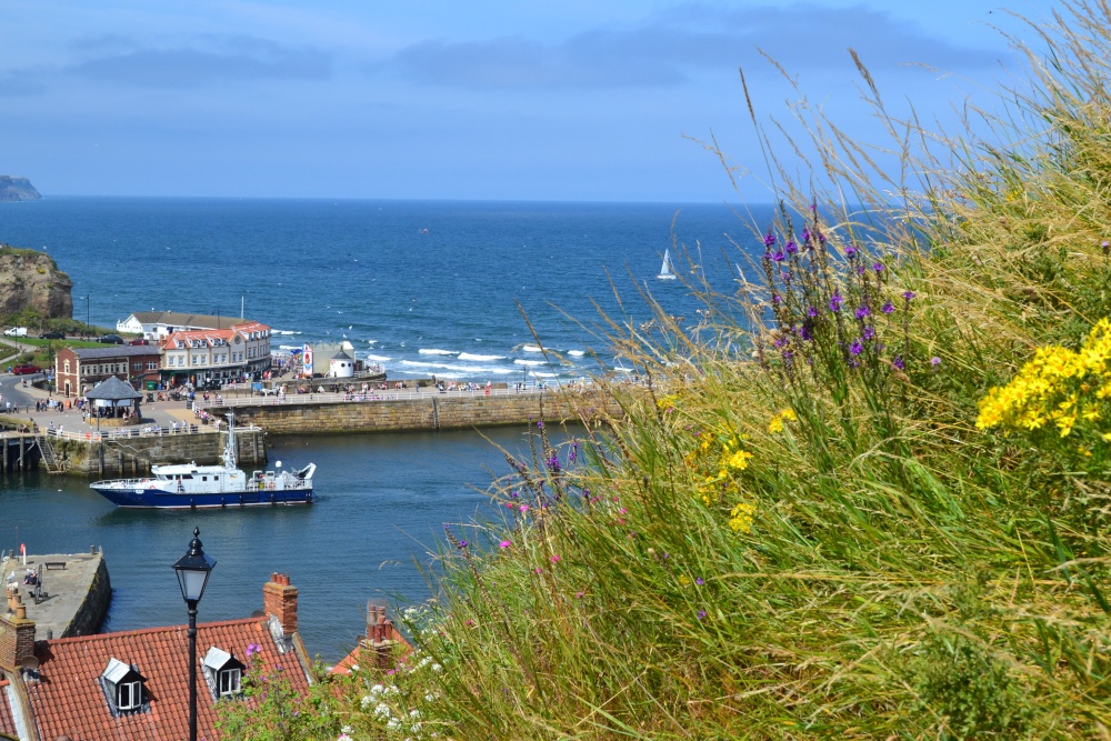 Whitby Harbour