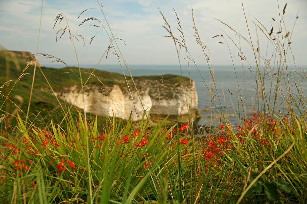 Flamborough Head . photo by Zbigniew Siwik
