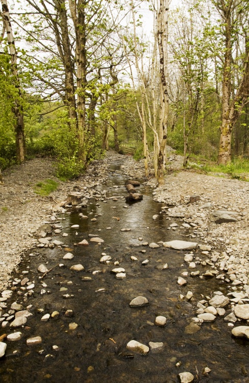 Small stream leading into Derwentwater