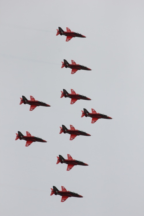 They do make a pretty pattern don't they?