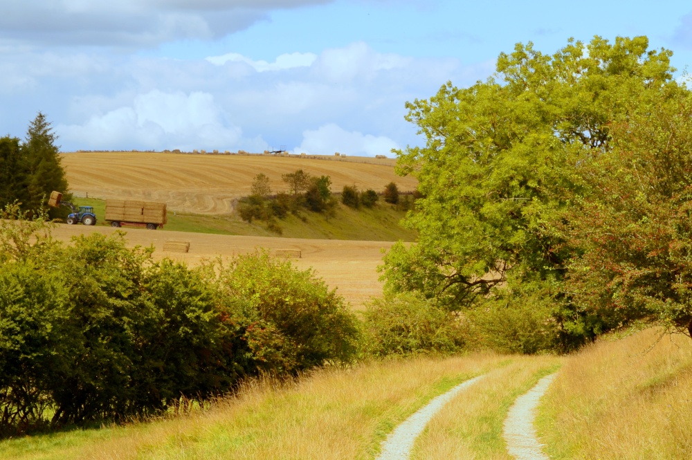 Getting The Bales In