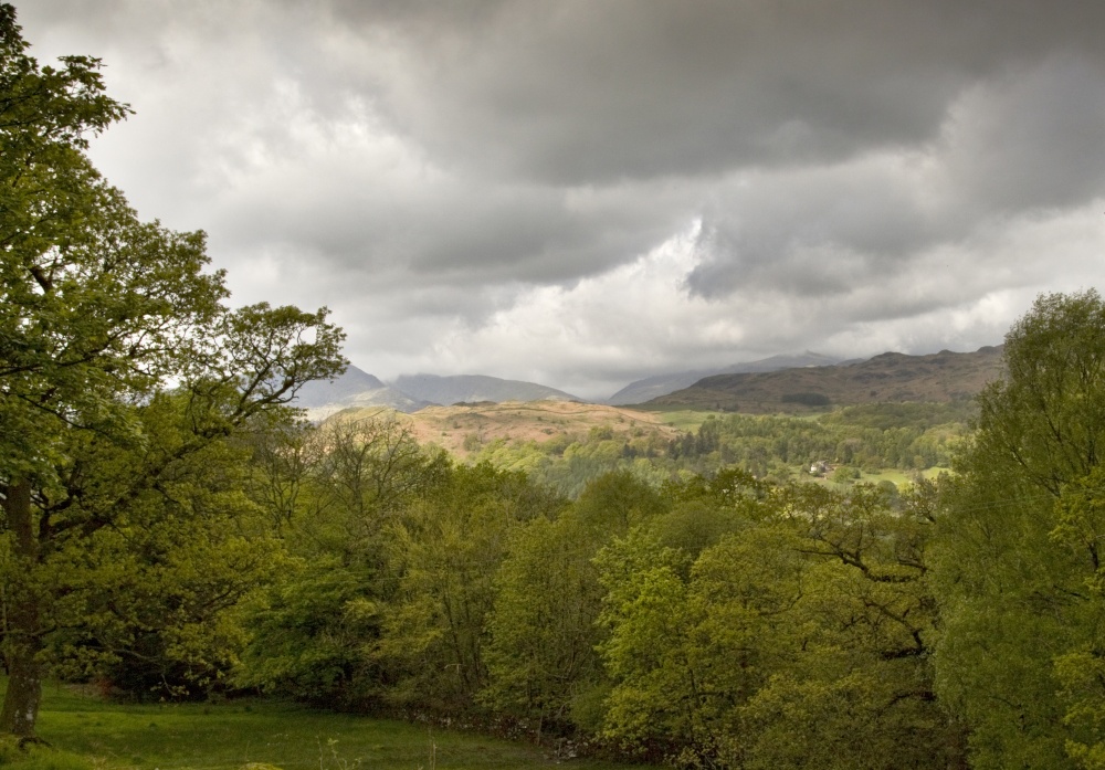 Looking out towards Loughrigg
