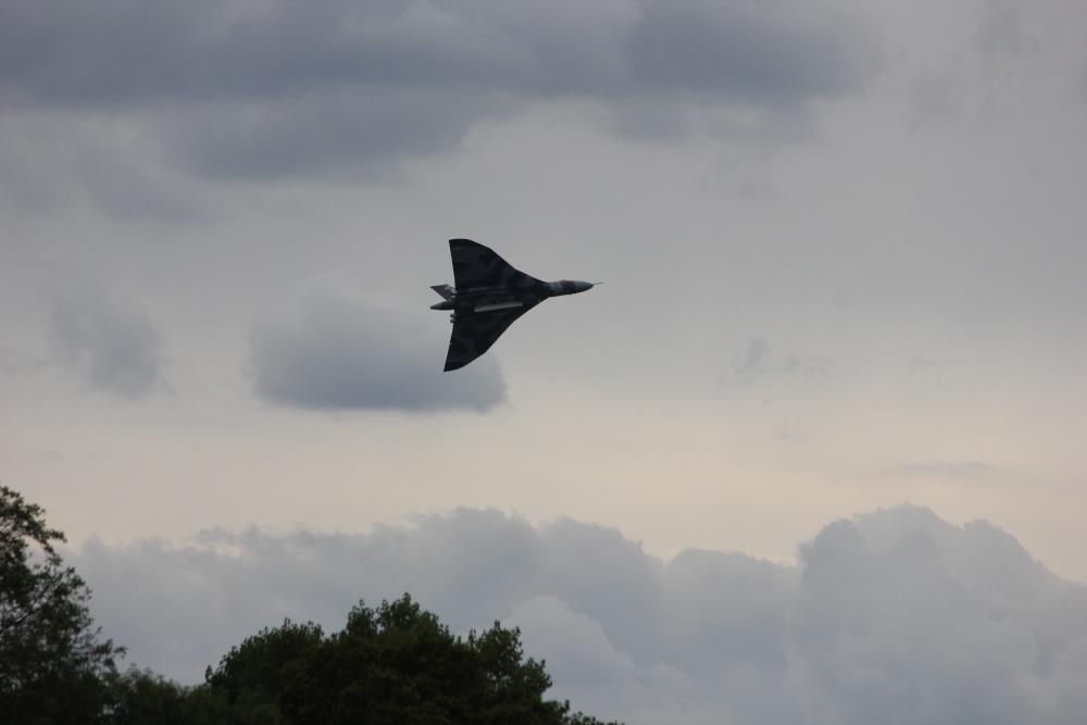 Graceful But Oh So Noisy