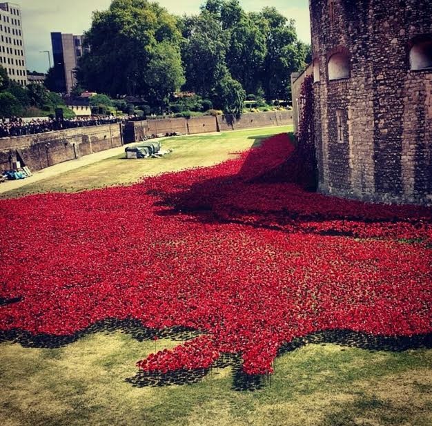 Poppies round the Tower of London