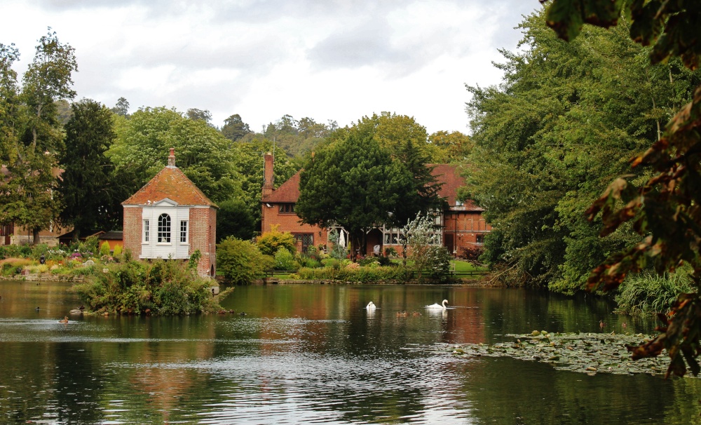 The Pond Harrietsham