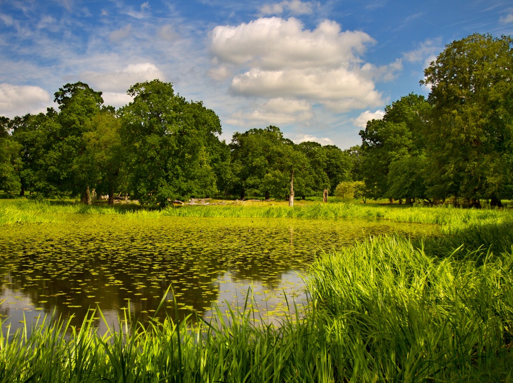 Dunham Massey, Altrincham, Greater Manchester