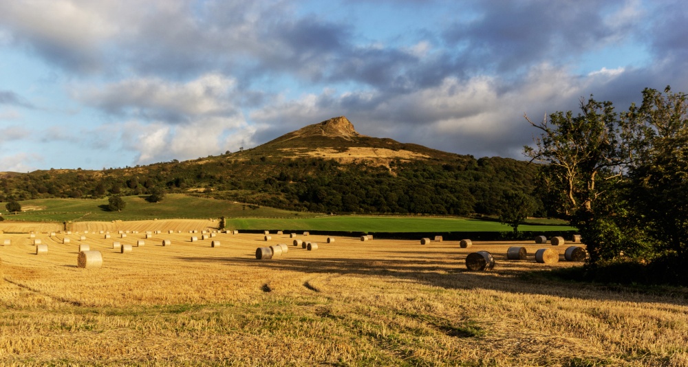 Roseberry Topping Harvest,Newton Under Roseberry