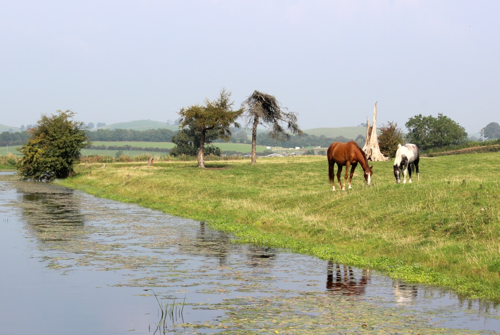 Lancaster Canal near Farleton, Cumbria