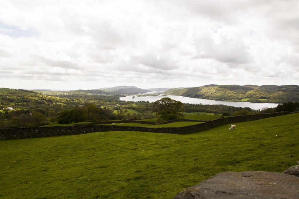 Windermere from Robin Lane
