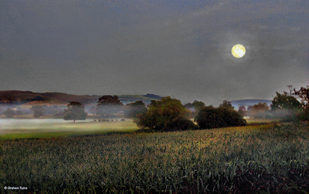 Stour Valley Summer, North Dorset Trailway.