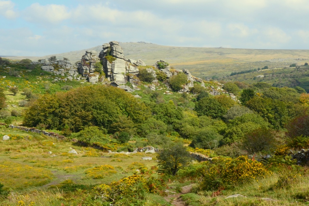 Vixen Tor