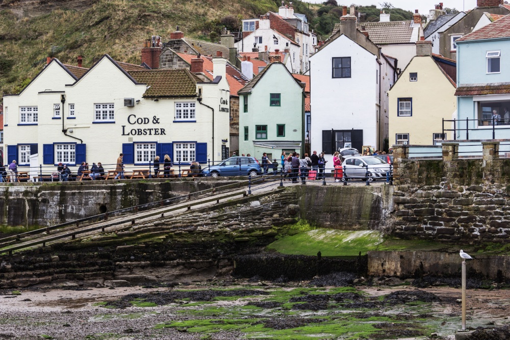 I Am Watching You, Staithes, North Yorkshire