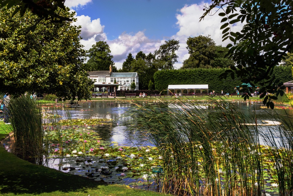 The Gardens At Burnby Hall,Pocklington