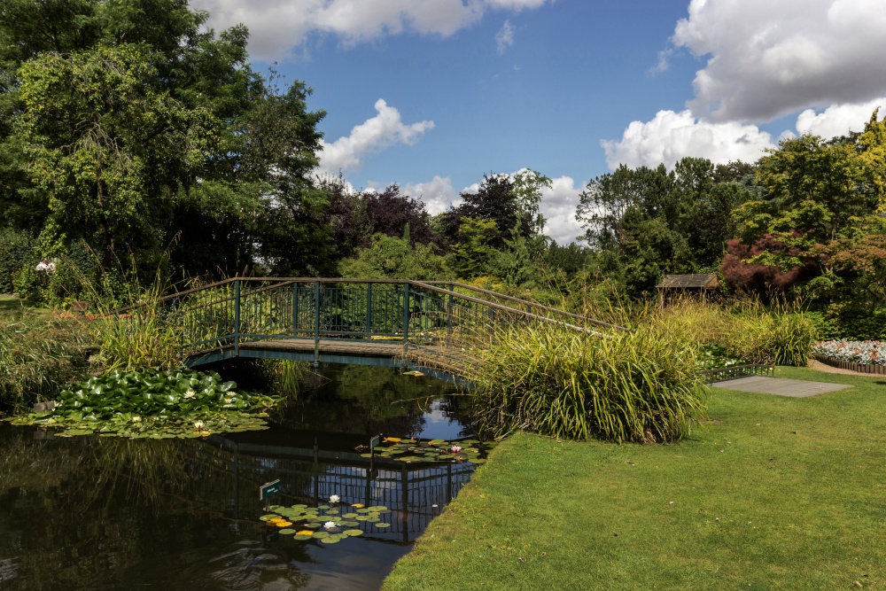 Burnby Hall Gardens and Bridge Pocklington