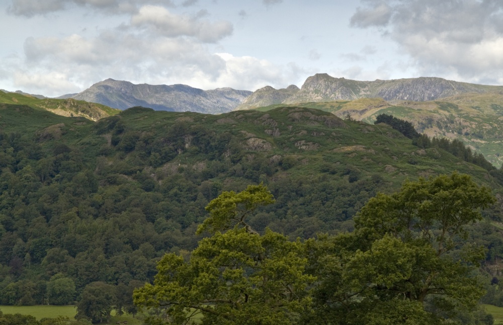 Lanty Scar and the Langdale Pikes