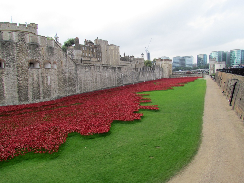 Poppies at the Tower of London