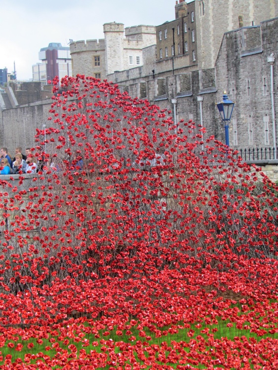Poppies at the Tower of London