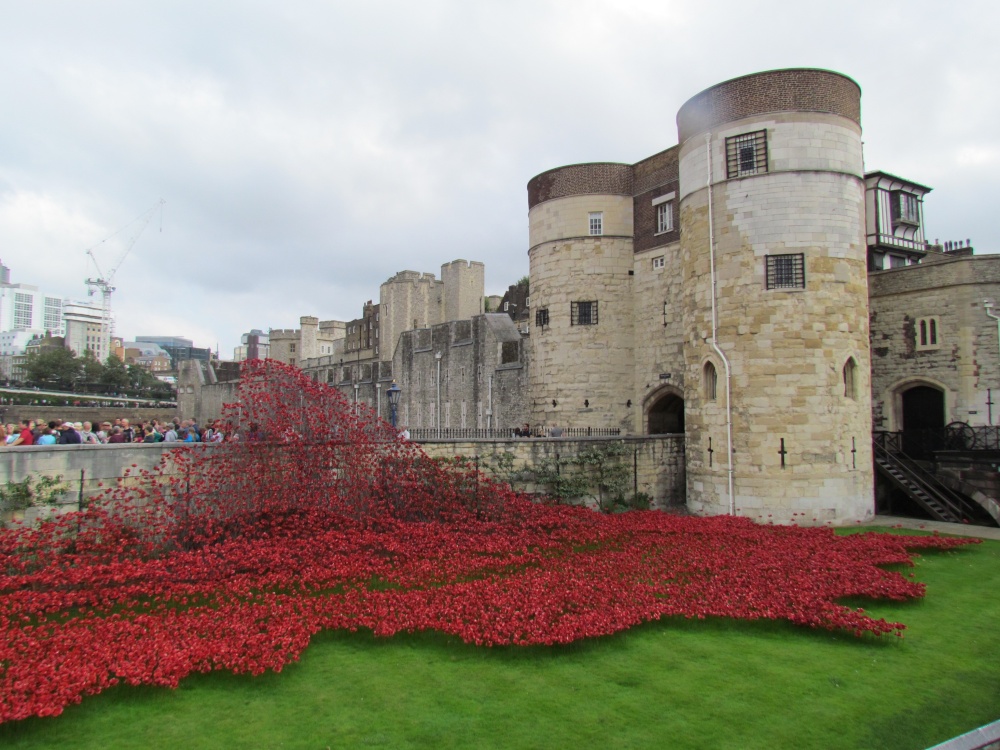 poppies at the Tower of London