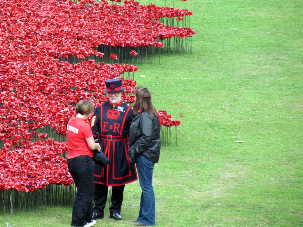 Poppies at the Tower of London