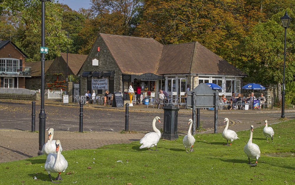 The Old Mill Tea Rooms at Christchurch Quay