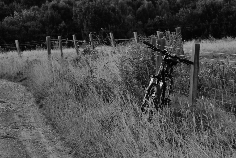 Mountain biking in Great Houghton