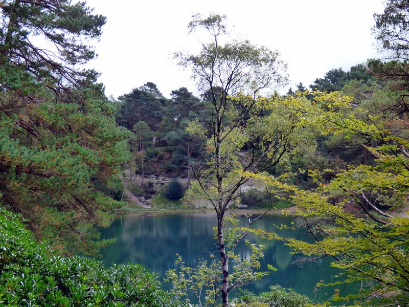 Wareham photo by Pat Trout