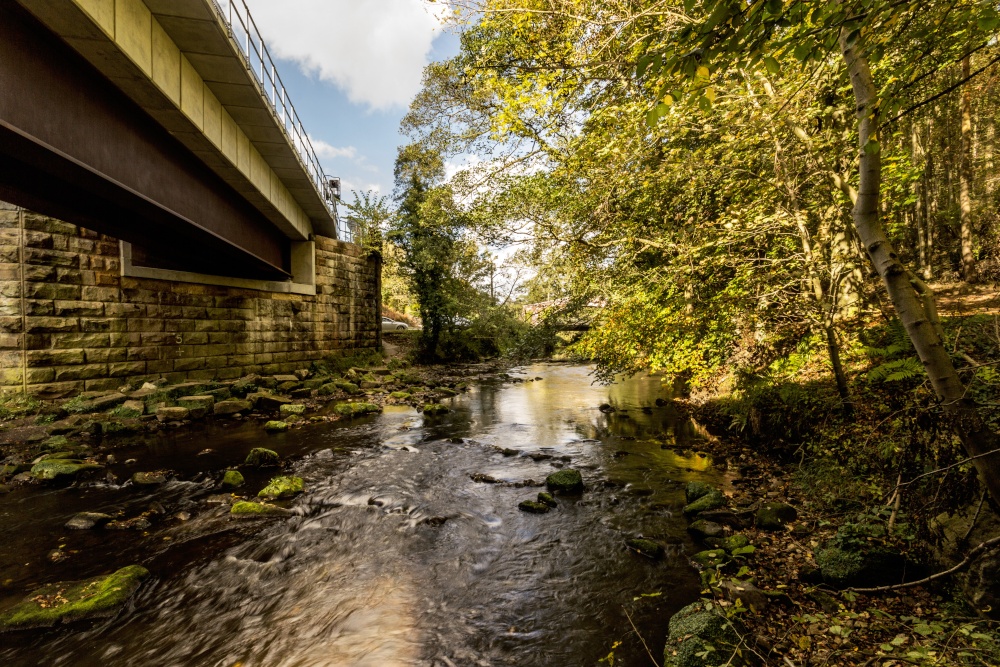 The Bridges of Glaisdale