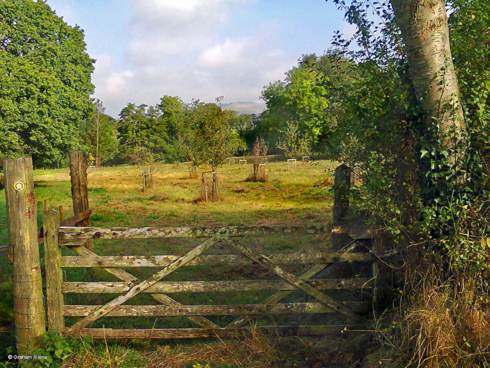 Fontmell Magna, Dorset.
