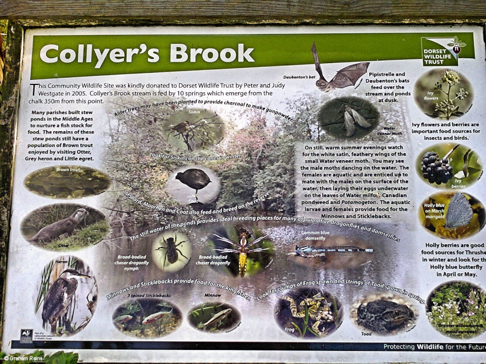 Fontmell Magna, Dorset.