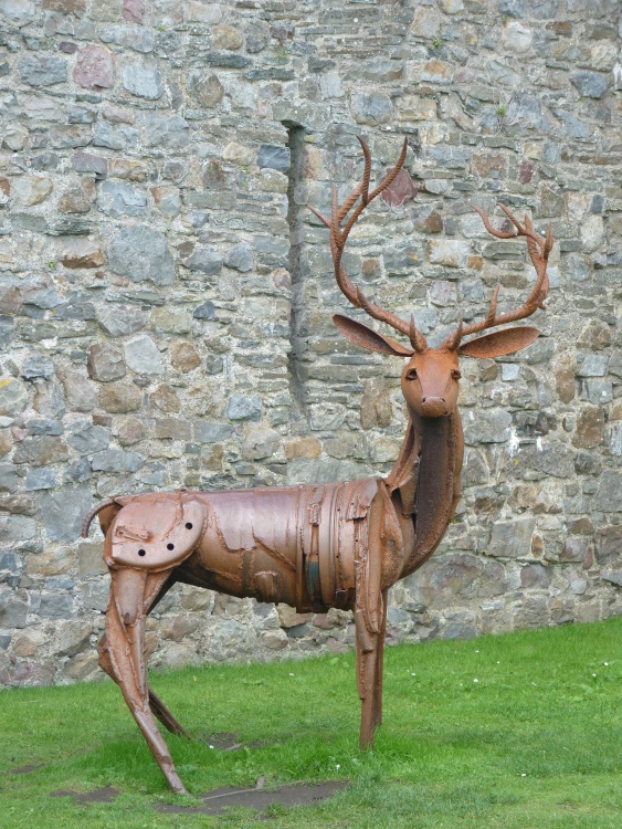 The Kidwelly Stag