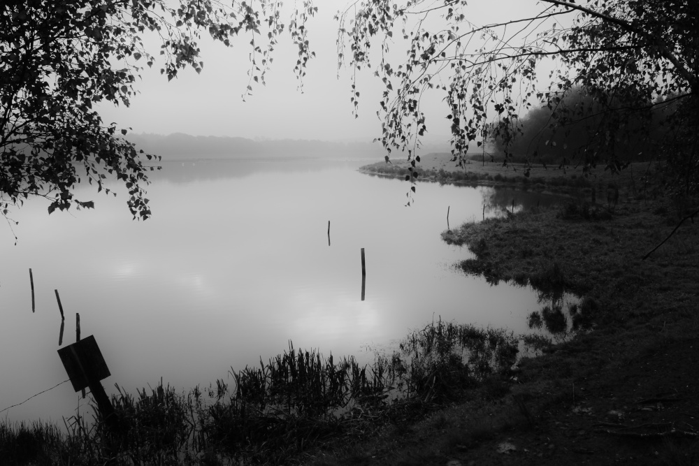 Misty morning in Grimethorpe