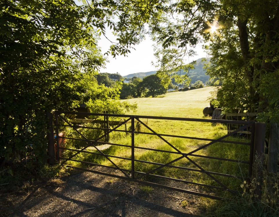 Gate and field Sunrise