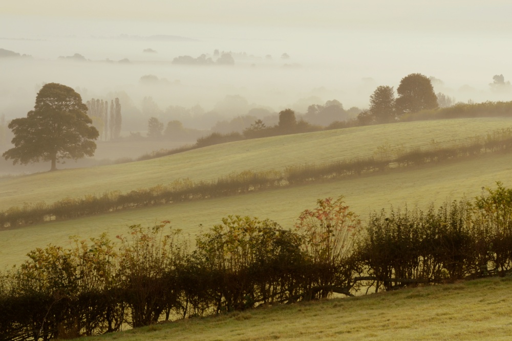 Foggy Sunday Morning