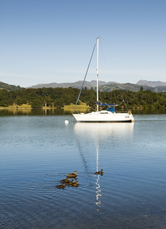 And the winner is ! ! !