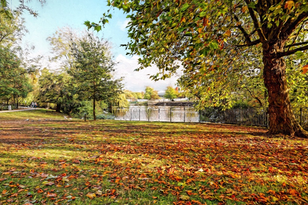 Autumn arrives in Derby