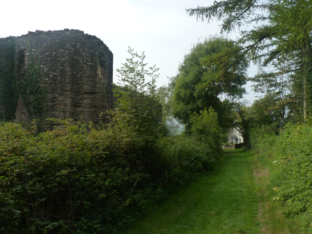 The Cottage and the Castle