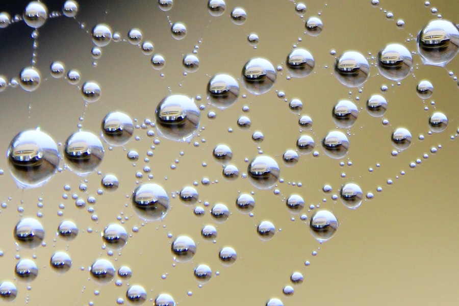 Photograph of Stamford