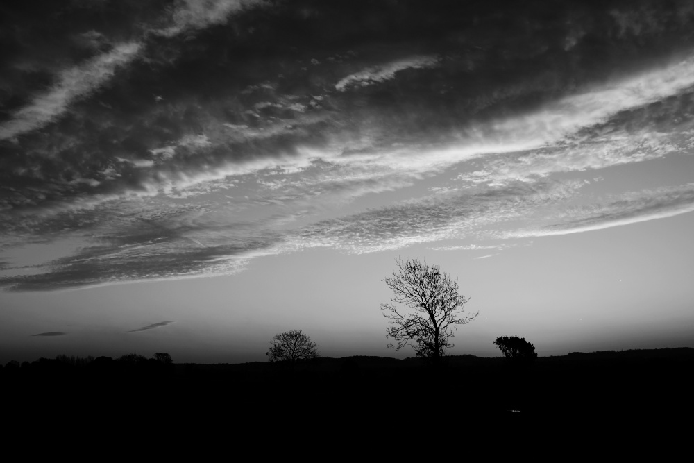 clayton near doncaster