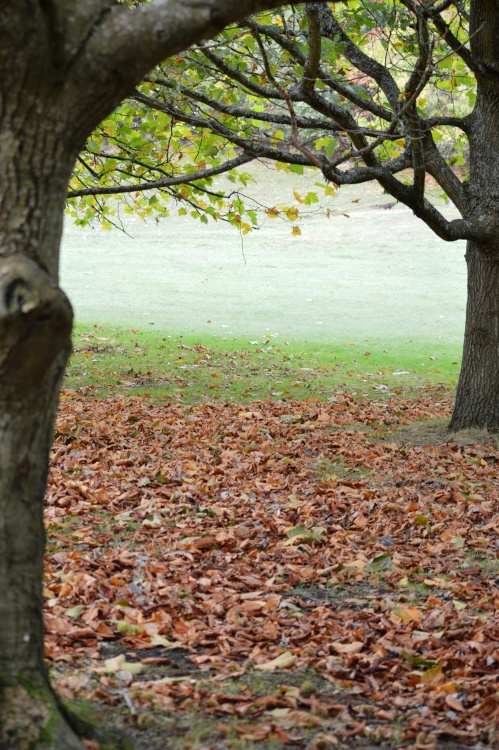 Brownsea Island in Autumn