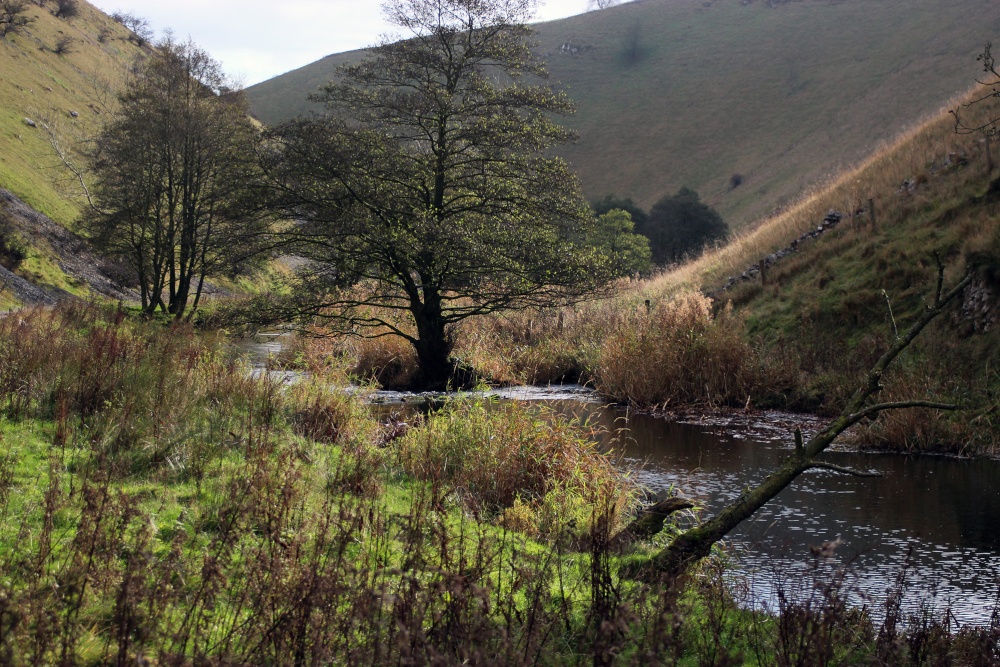 Wolfscote Dale, Peak District National Park