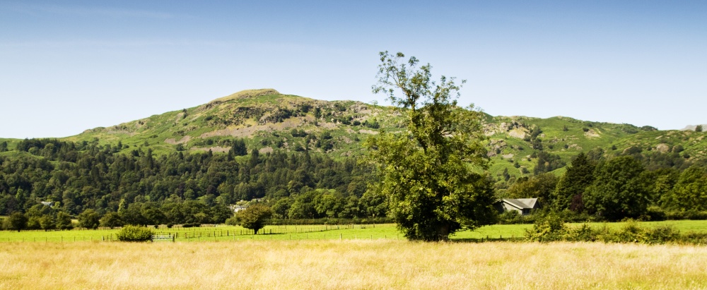 Silver Howe Grasmere
