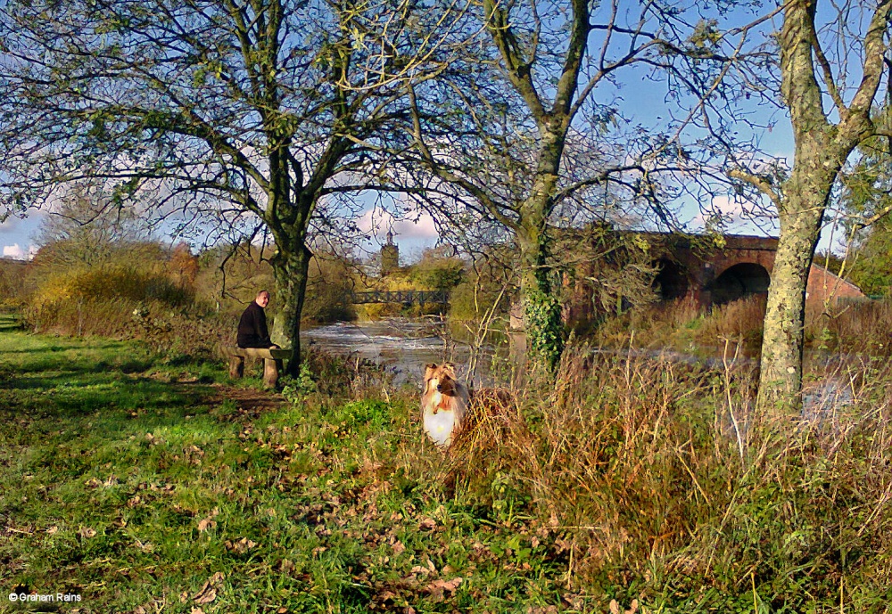 Stour Valley Autumn Dorset