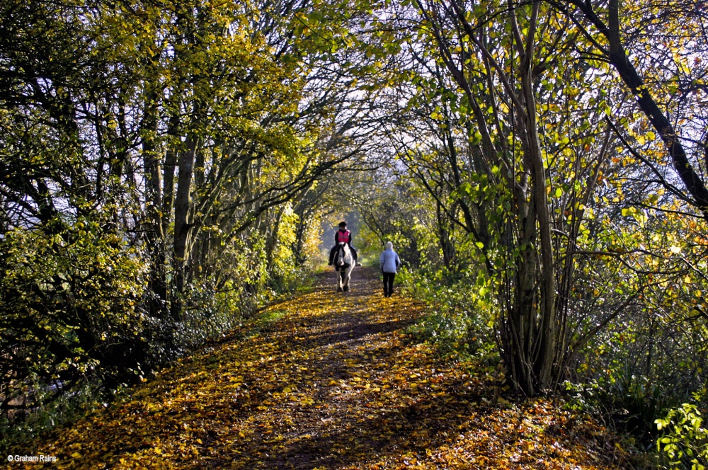 Stour Valley Autumn