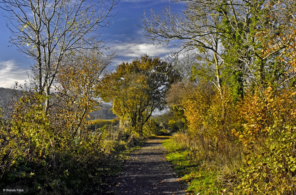 Stour Valley Autumn