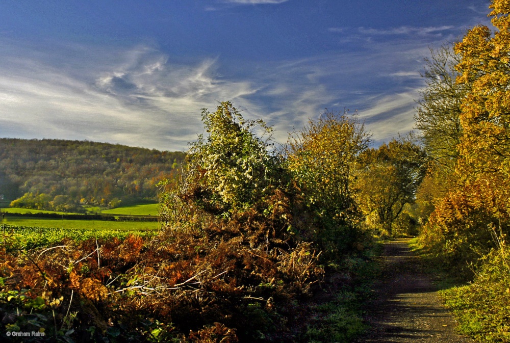 Stour Valley Autumn