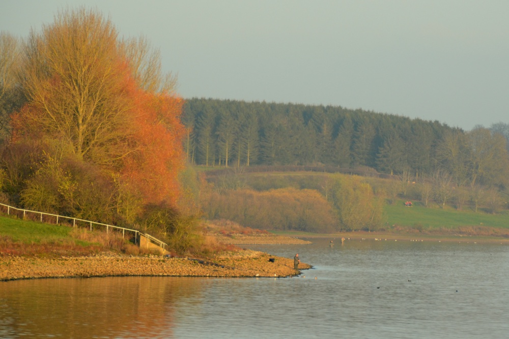 Autumn at Draycote