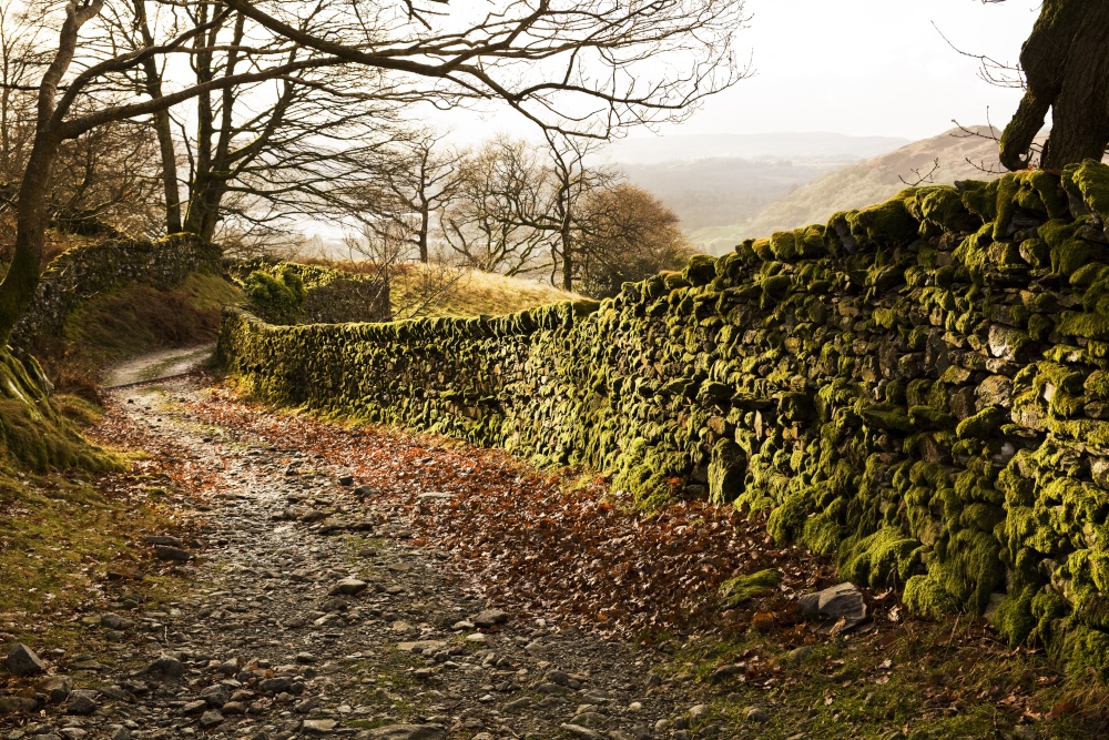 Sweden Bridge Lane 2