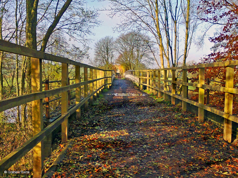 Stour Valley Winter, Dorset.