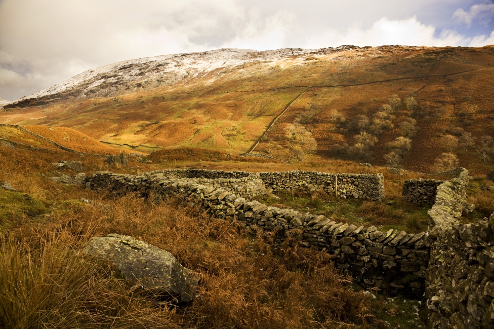 Sheep Fold High Sweden Bridge