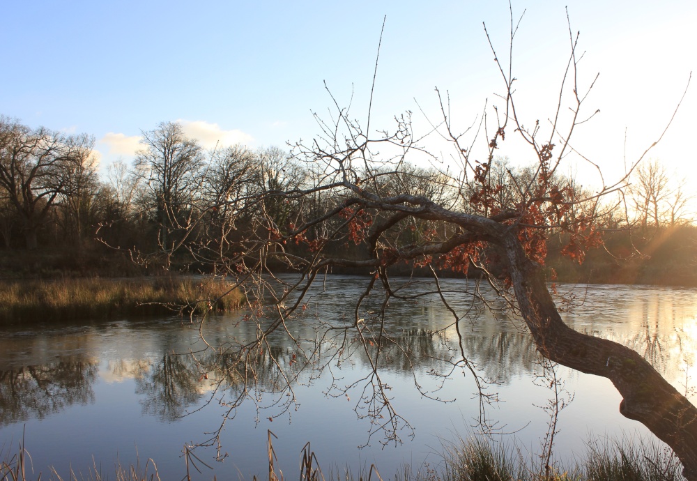 Reach For The Island